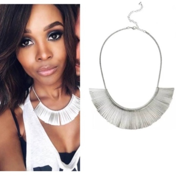 :: Stella & Dot [SILVER] Essential Fringe Necklace - Picture 5 of 9